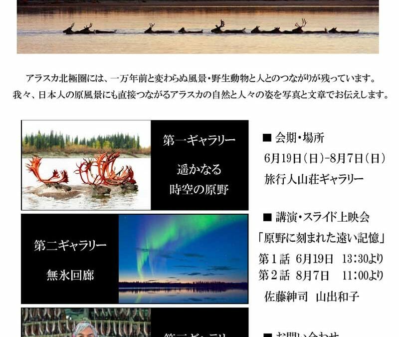 写真展「アラスカ北極圏　一万年の原野」６月１９日より