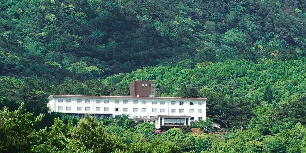 桜島が一望