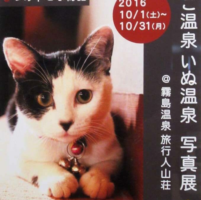 ねこ温泉いぬ温泉写真展