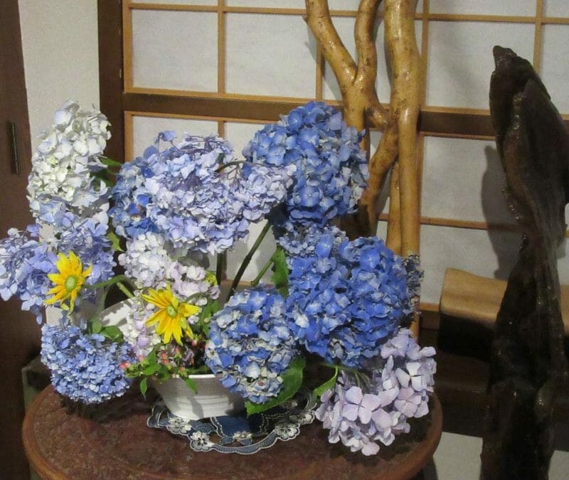 あじさいの花