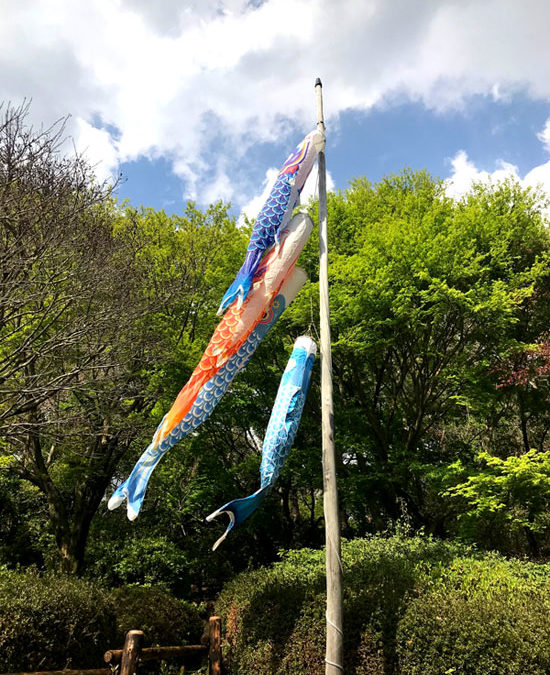 鯉のぼり