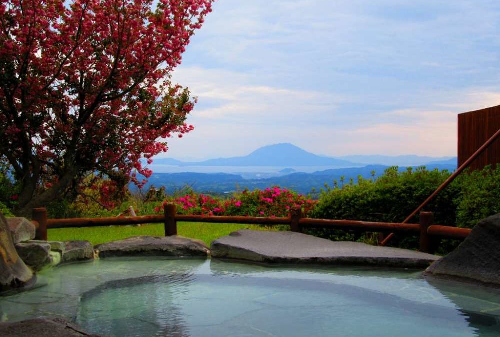 八重桜と桜島