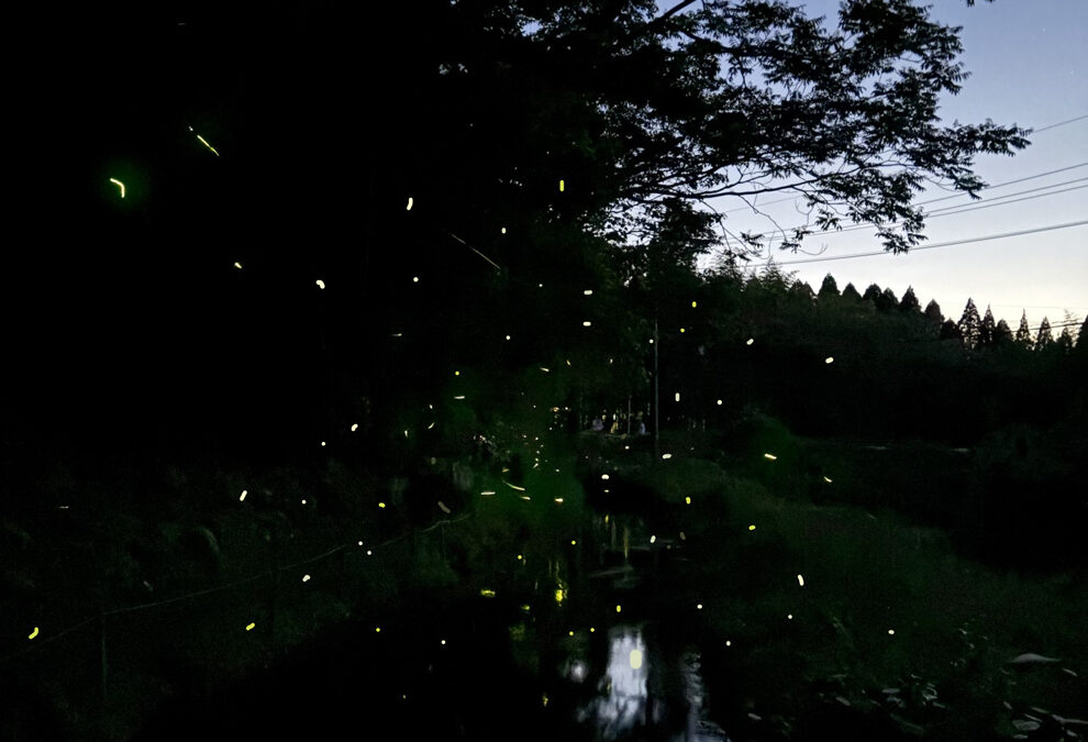 ホタルツアー